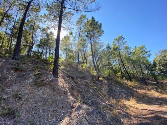 Terreno venda em São Brás De Alportel, Faro