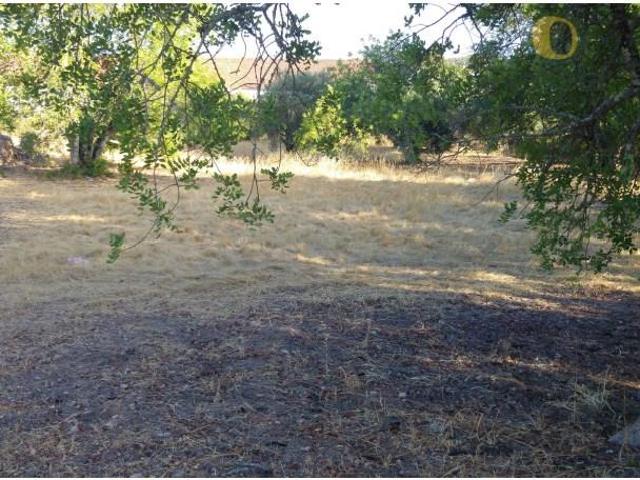 Terreno venda em São Brás De Alportel, Faro