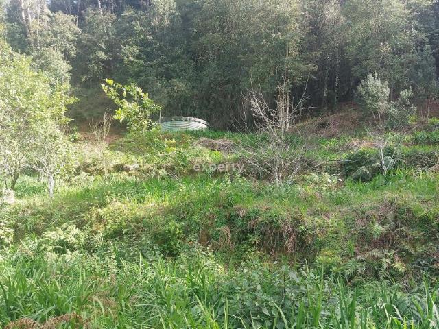 Terreno venda em São Vicente
