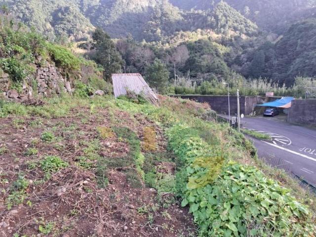 Terreno venda em São Vicente, Ilha Da Madeira