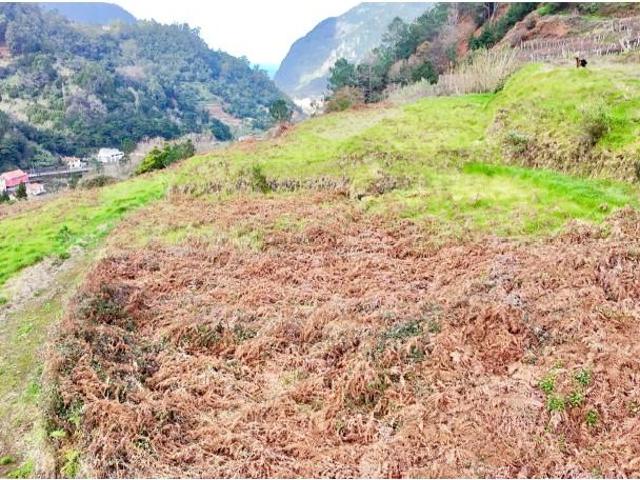 Terreno venda em São Vicente, Ilha Da Madeira
