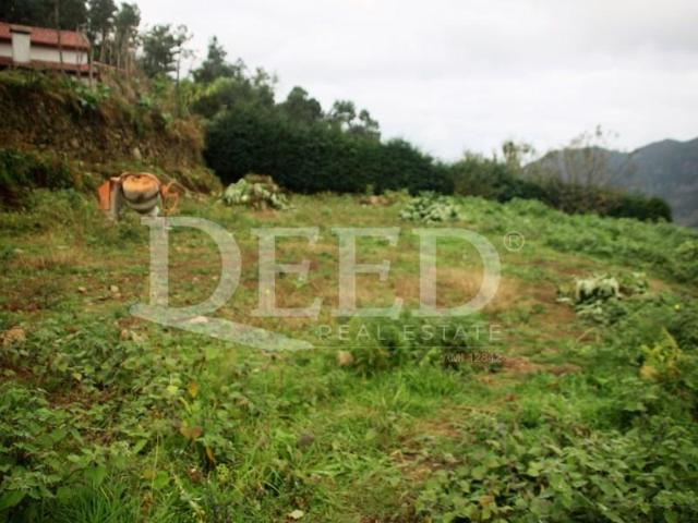 Terreno venda em São Vicente, Ilha Da Madeira