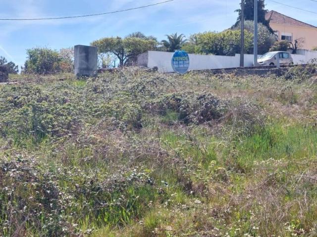 Terreno venda em Sabrosa, Vila Real