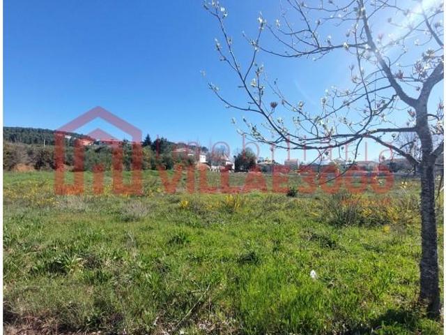 Terreno venda em Sabrosa, Vila Real