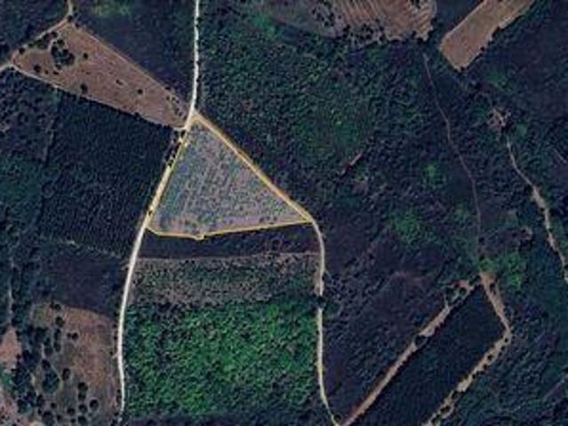 Terreno venda em Guarda, Aldeia De Santo António