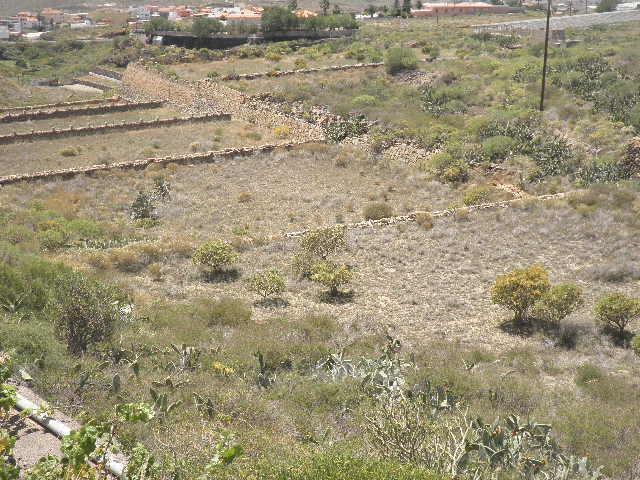 Terreno en venta en La orotava, Canarias
