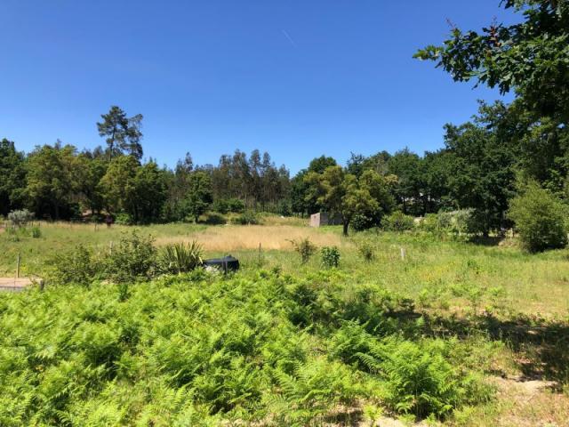 Terreno venda em Couto Do Mosteiro, Viseu