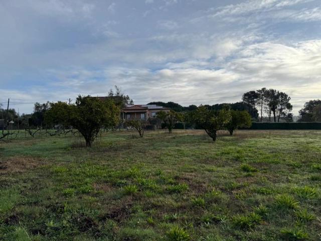 Terreno venda em Couto Do Mosteiro, Viseu