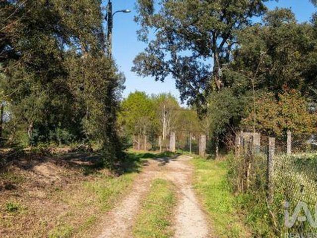 Terreno venda em Couto Do Mosteiro, Viseu