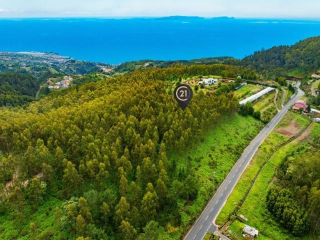 Terreno venda em Santa Cruz
