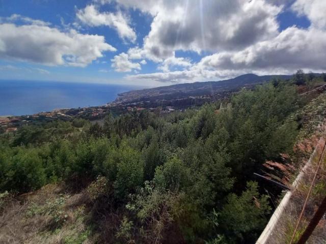 Terreno venda em Santa Cruz