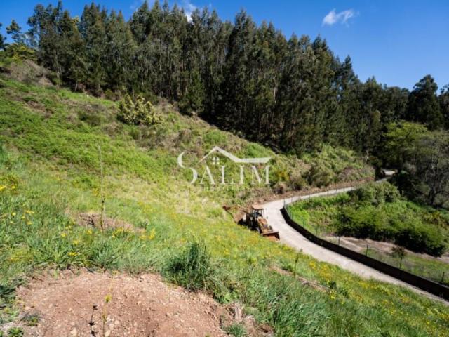 Terreno venda em Santa Cruz