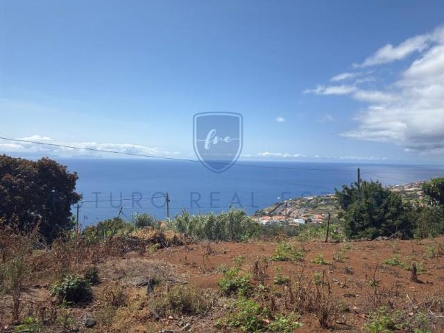 Terreno venda em Santa Cruz