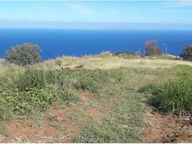 Terreno venda em Santa Cruz