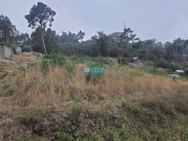 Terreno venda em Funchal, Ilha Da Madeira