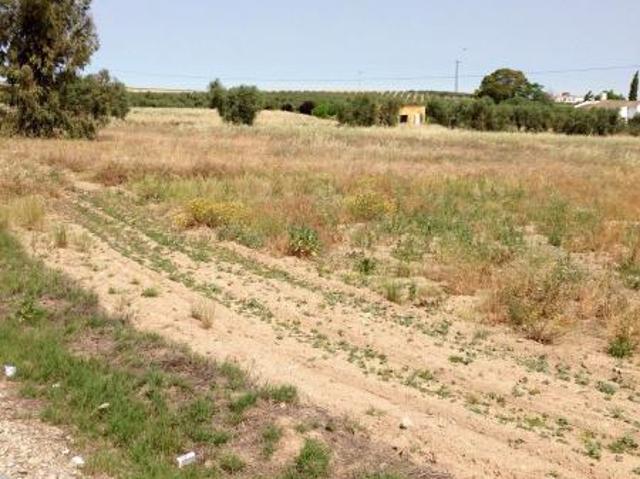 Terreno en venta en Tierra de Barros, Extremadura