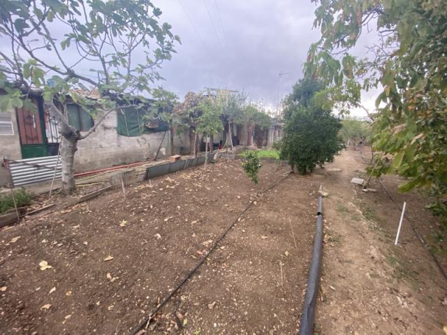 Terreno en venta en Tierra de Barros, Extremadura