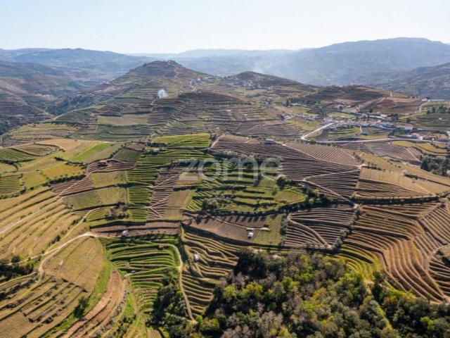 Terreno venda em Santa Marta De Penaguião, Vila Real