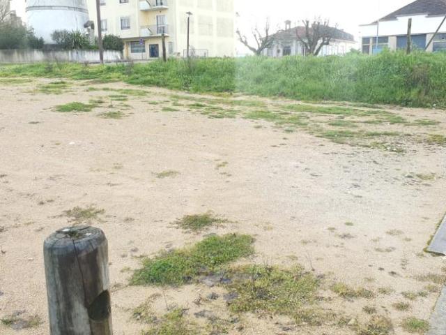 Terreno venda em Castelo de Paio Mendes, Rego Da Murta