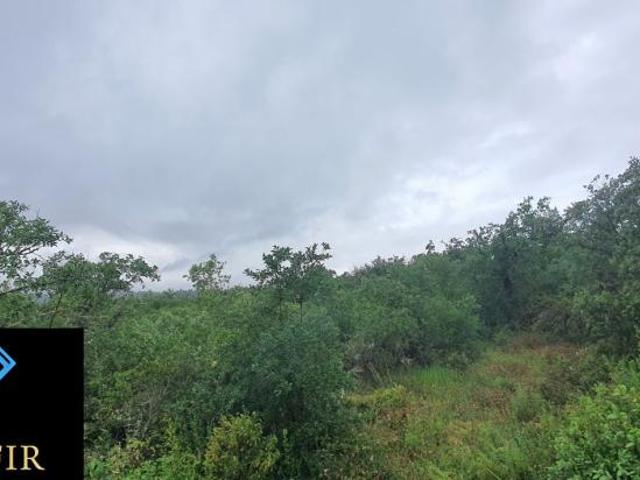 Terreno venda em Ovelheiras, Rego Da Murta