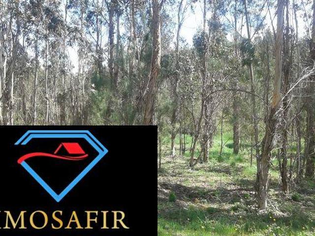 Terreno venda em Camarões, Ourém