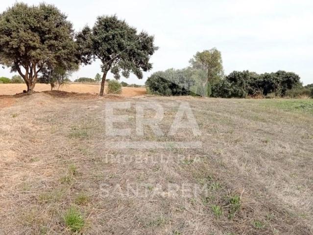 Terreno venda em Advagar, Santarém
