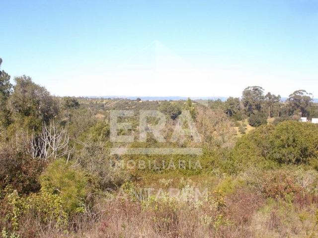 Terreno venda em Arneiro dos Borralhos, Santarém