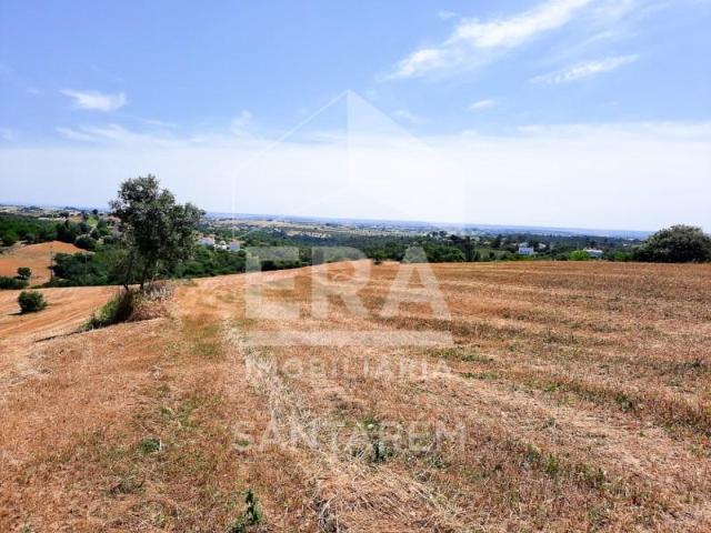 Terreno venda em Santarém