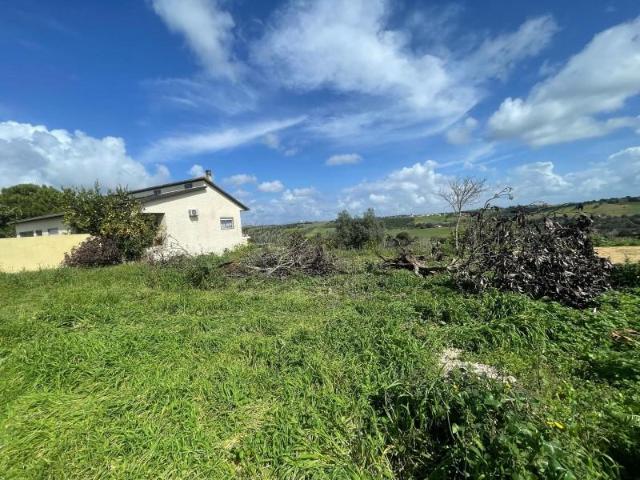 Terreno venda em Santarém