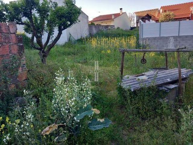 Terreno venda em Santarém