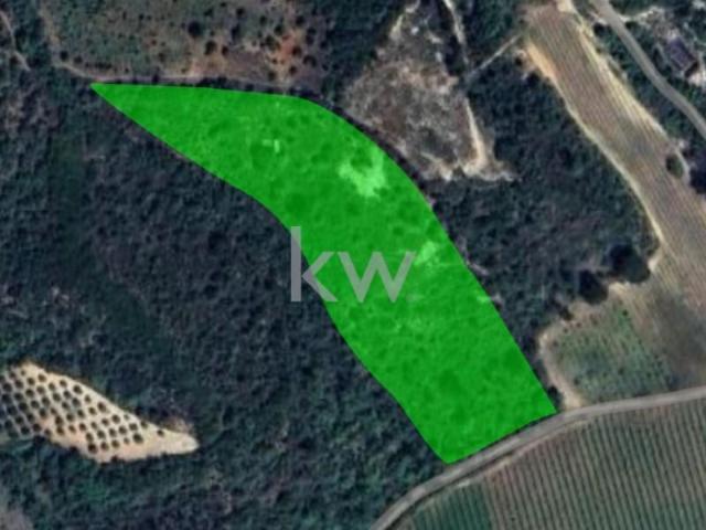 Terreno venda em Santarém