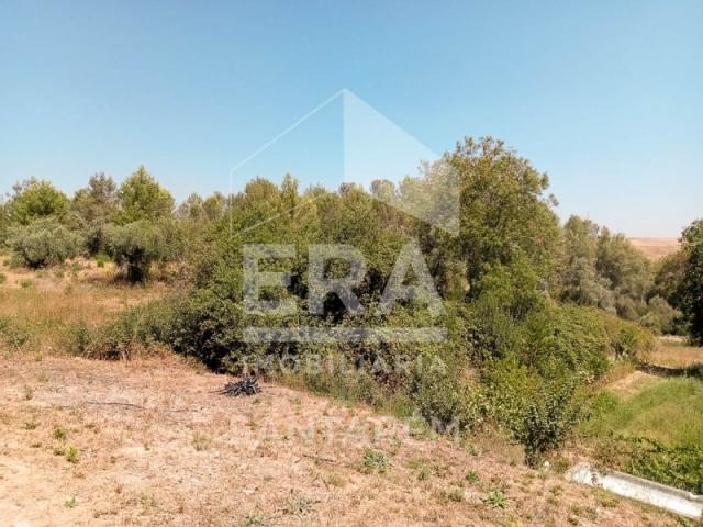 Terreno venda em Verdelho, Santarém