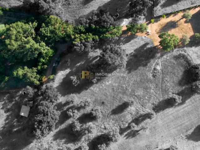 Terreno venda em Santarém