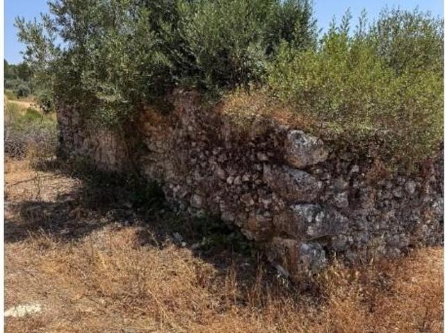 Terreno venda em Santarém