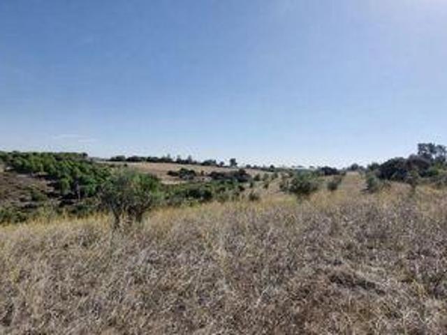 Terreno venda em Santarém