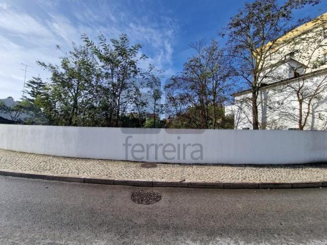 Terreno venda em Santarém