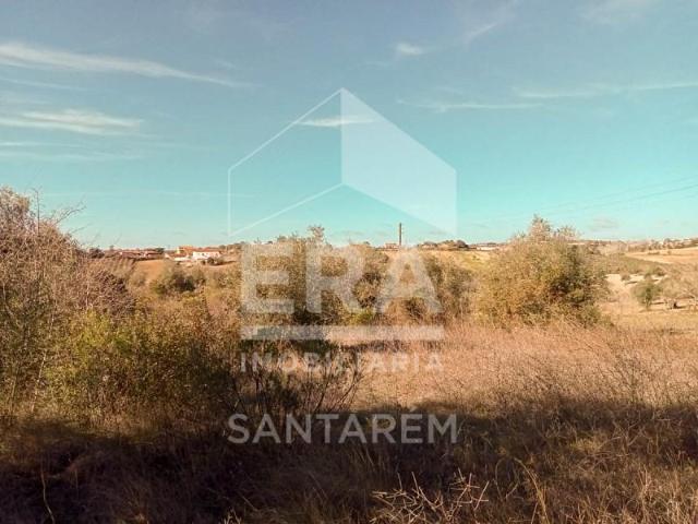 Terreno venda em Santarém