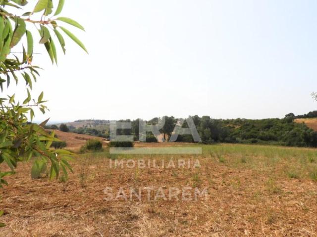 Terreno venda em Santarém