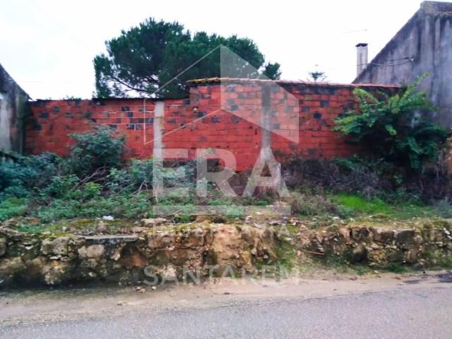 Terreno venda em Santarém
