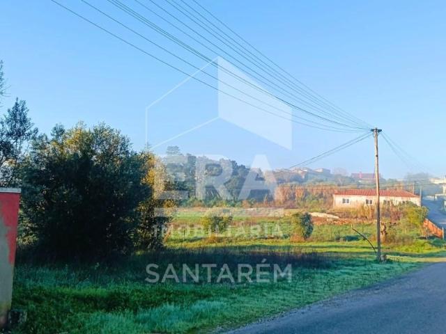 Terreno venda em Santarém