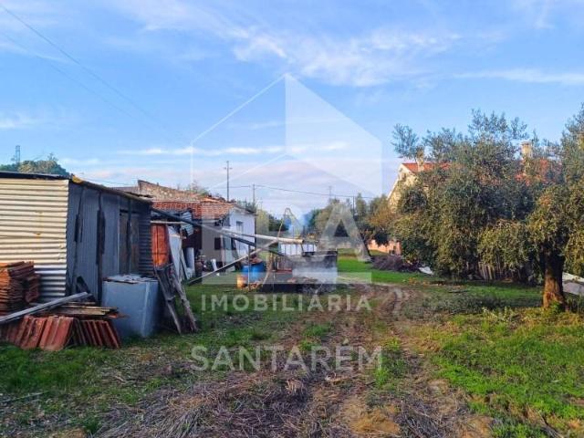 Terreno venda em Santarém