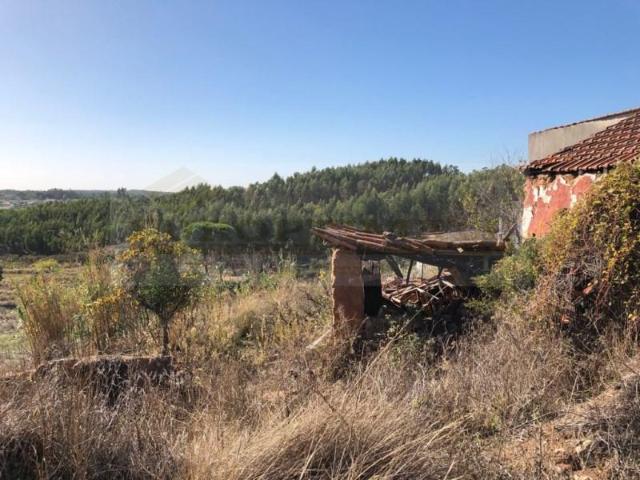 Terreno venda em Santarém