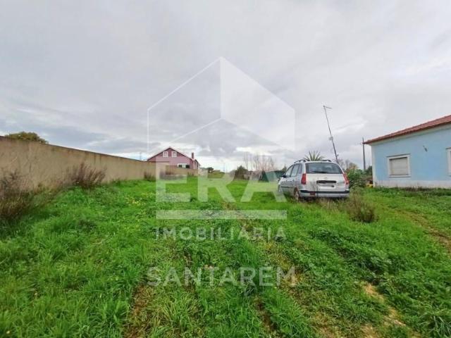 Terreno venda em Santarém
