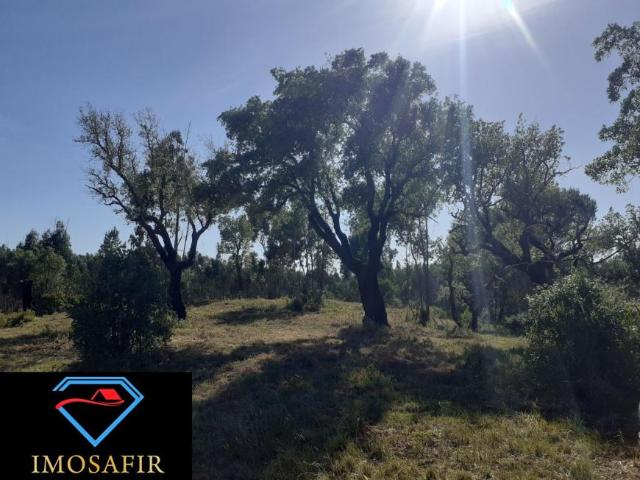 Terreno venda em Tomar, Santarém