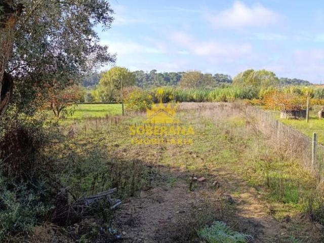 Terreno venda em Madalena e Beselga, Tomar