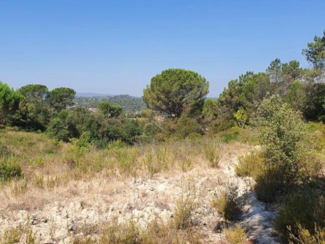 Terreno venda em Madalena e Beselga, Tomar