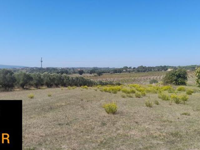 Terreno venda em Madalena e Beselga, Tomar