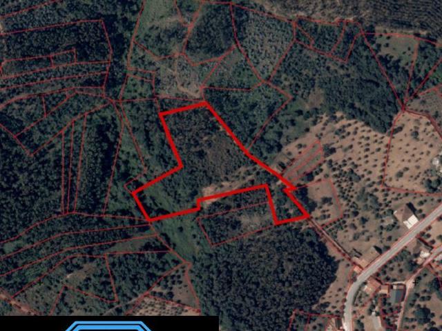 Terreno venda em Portela de Nexebra, Tomar