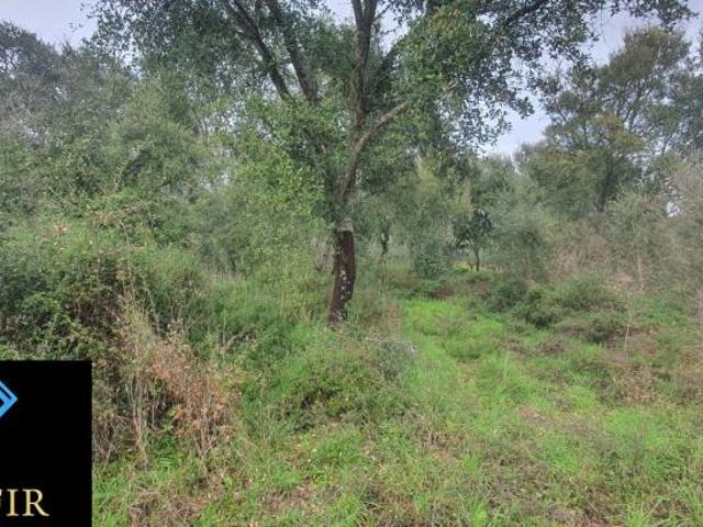 Terreno venda em Tomar, Santarém