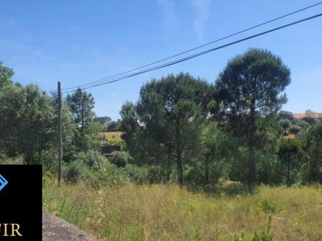 Terreno venda em Olaia e Paço, Torres Novas